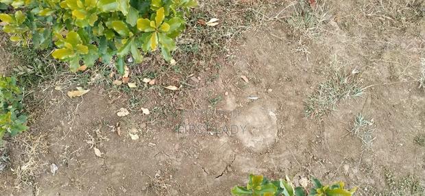 0.8acre Land for Sale in Nanyuki Nturukuma