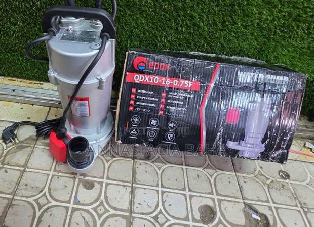 Edon Qdx 0.75hp Water Pump - main view