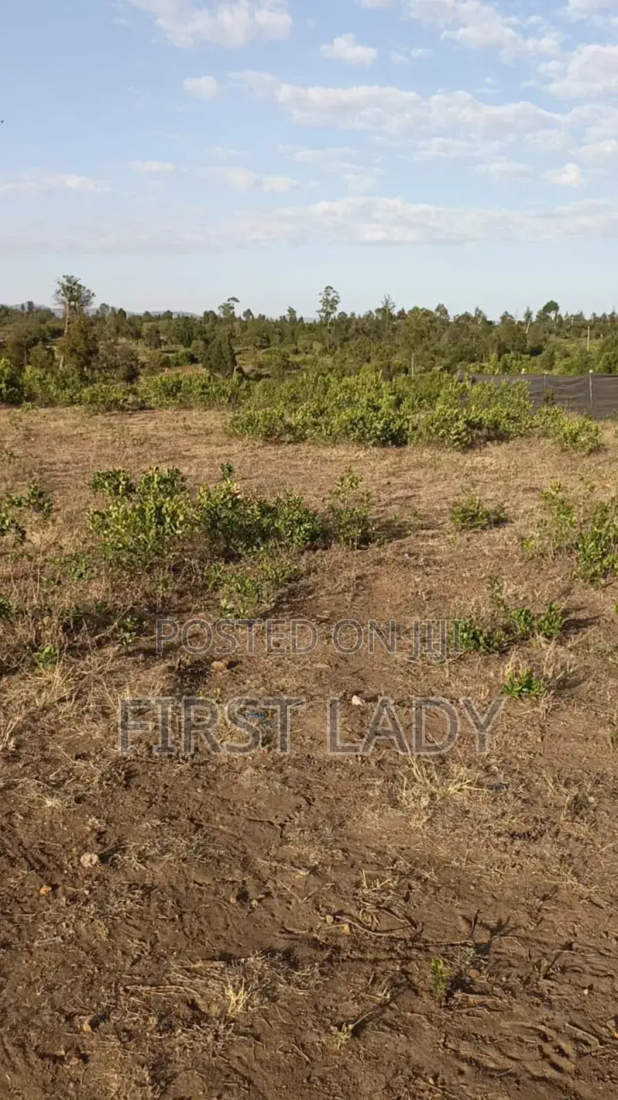 0.8acre Land for Sale in Nanyuki Nturukuma