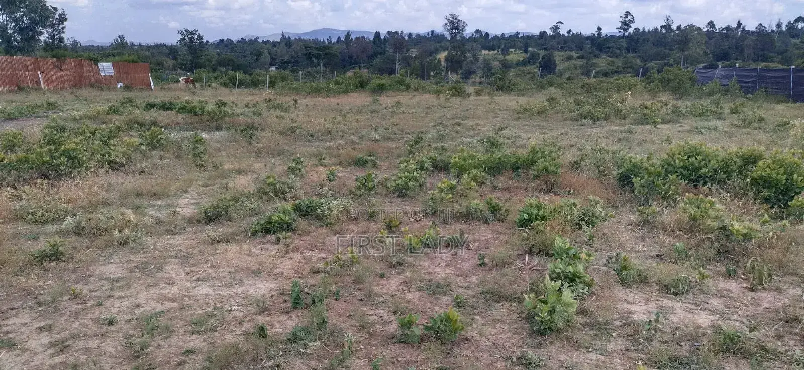 0.8acre Land for Sale in Nanyuki Nturukuma