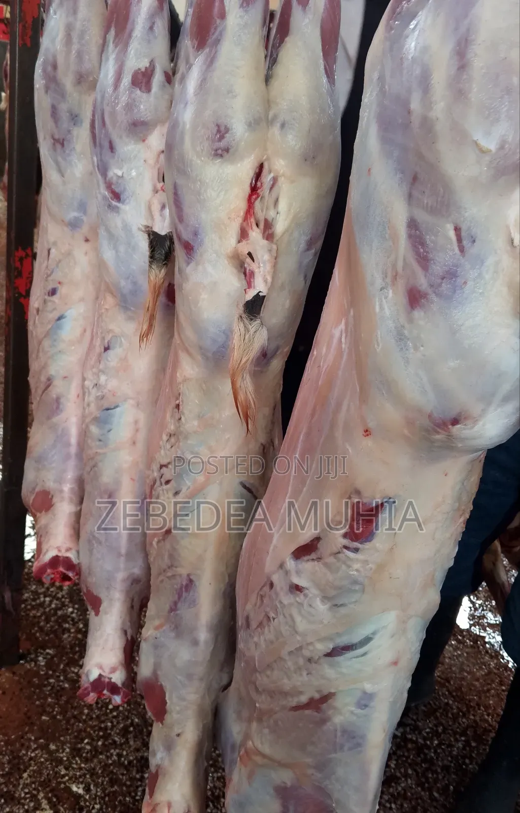 Meat Supplier Kifaru 001