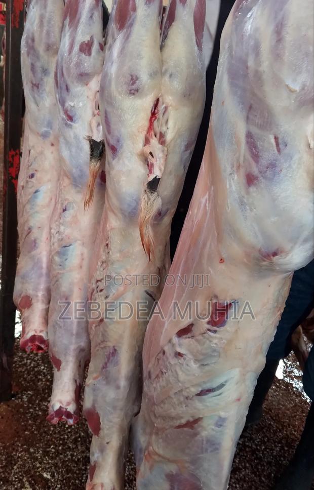 Meat Supplier Kifaru 001 - thumbnail 4