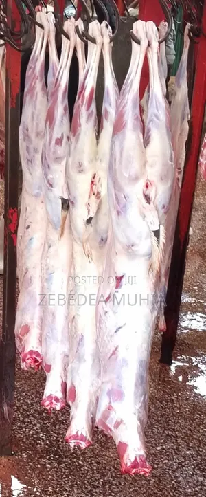 Meat Supplier Kifaru 001