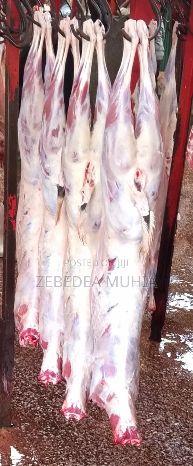 Meat Supplier Kifaru 001