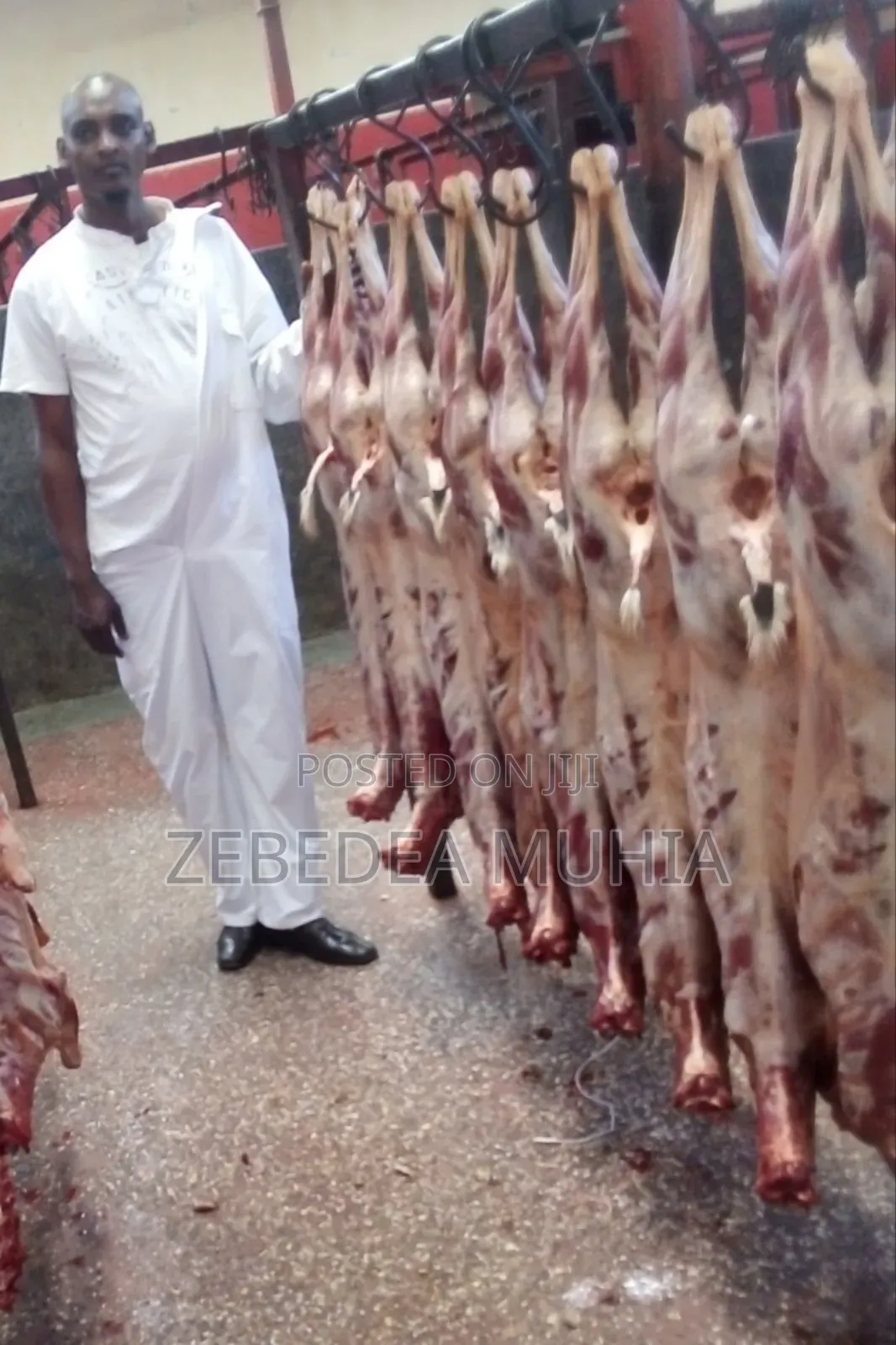 Meat Supplier Kifaru 001