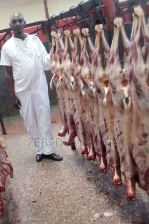 Meat Supplier Kifaru 001