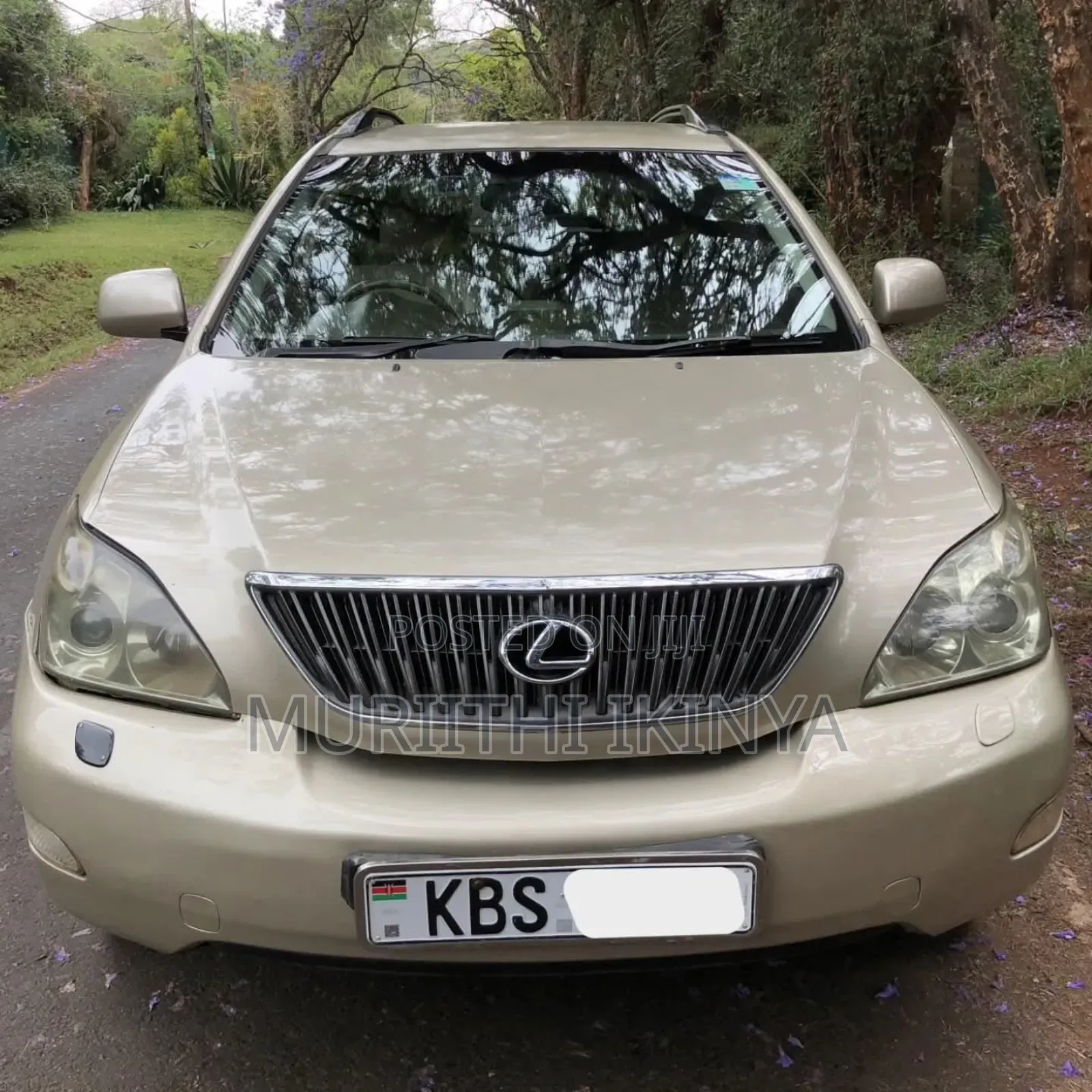 Toyota Harrier 2005 Beige