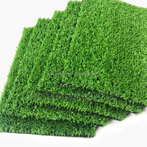 Outdoor Artificial Grass Carpet for Compound