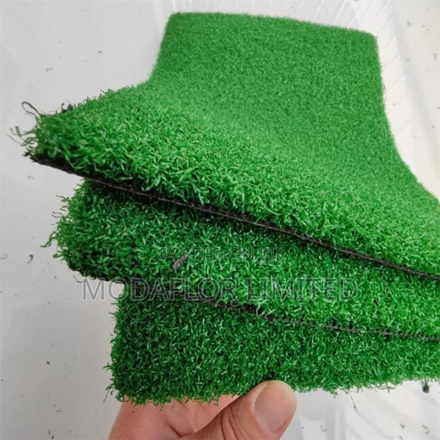 Artificial Grass Carpet for Indoor Spaces