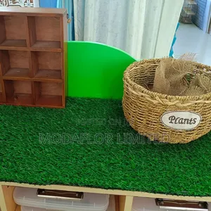 Premium Artificial Grass Carpet for Shop Display