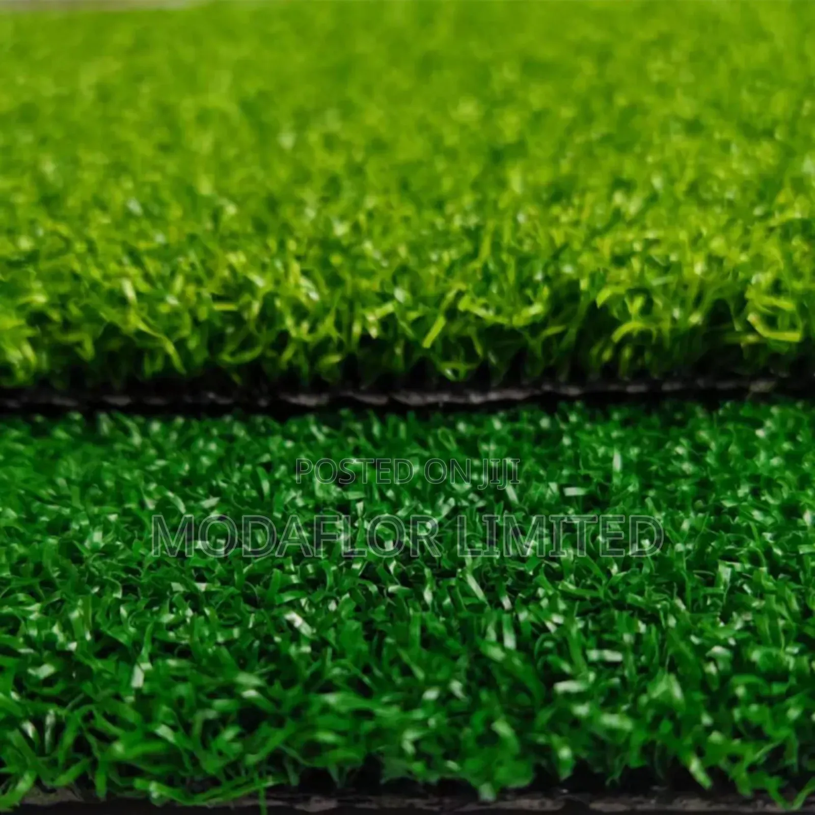 Grass Carpet Ever-Green Prestige