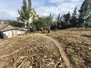 Large Eighth (65*100) Acre Red Soil Plot for Sale in Kerarapon Drive