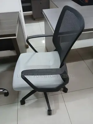 Ergonomic Mesh Office Chair