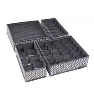 4in 1 Under Garment Organizer