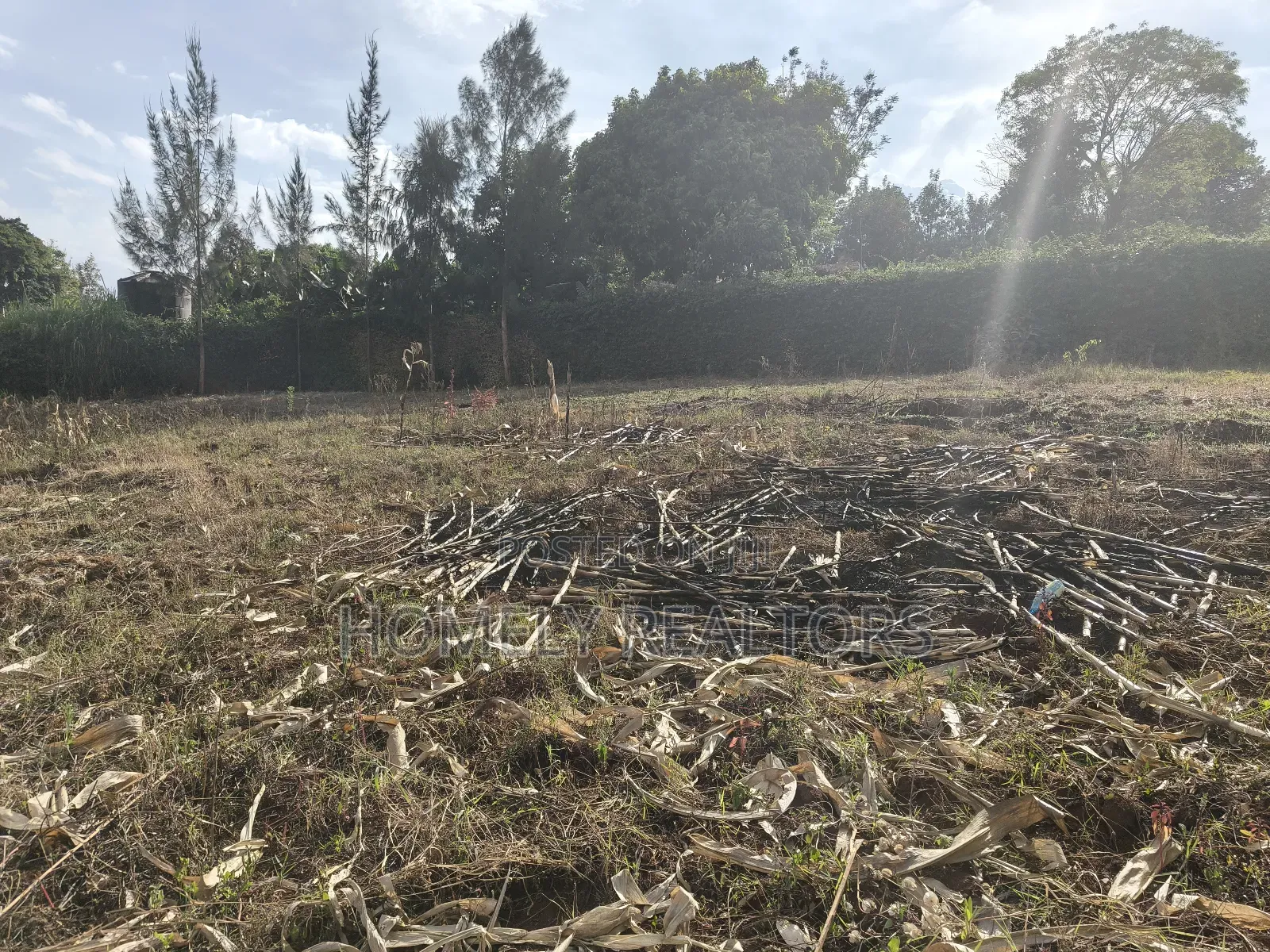 Half Acre Gated Plot for Sale in Klerarapon Drive, Ngong. Red Soil