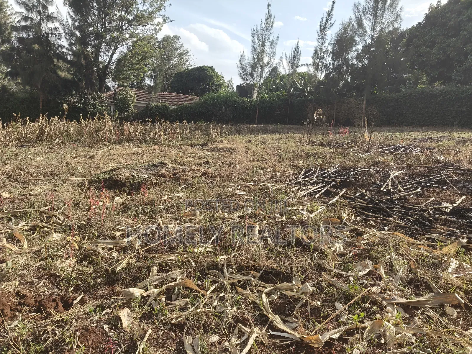 Half Acre Gated Plot for Sale in Klerarapon Drive, Ngong. Red Soil