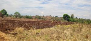 5 Acres Lower East Magutuni(Kaare) - thumbnail 2