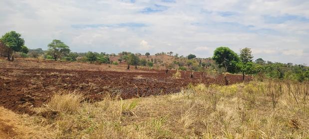 5 Acres Lower East Magutuni(Kaare) - main view