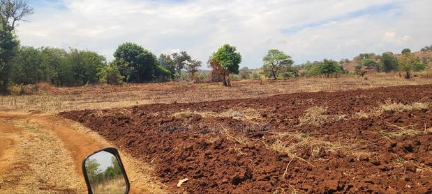 5 Acres Lower East Magutuni(Kaare) - thumbnail 2