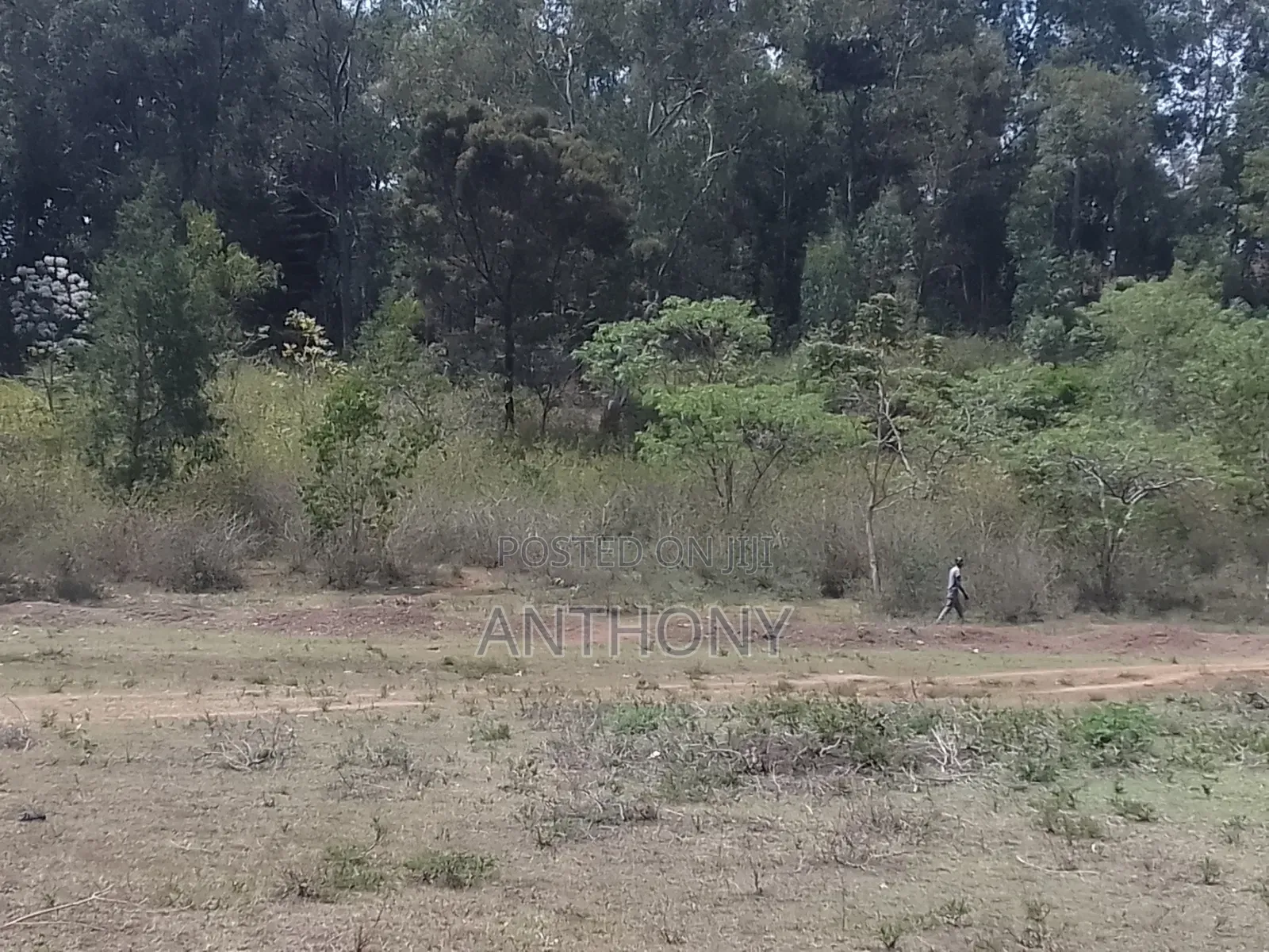 Karen - Dagoretti Rd - 10 Acres (5+5)