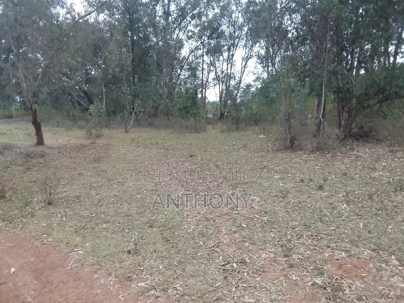 Karen - Dagoretti Rd - 10 Acres (5+5)