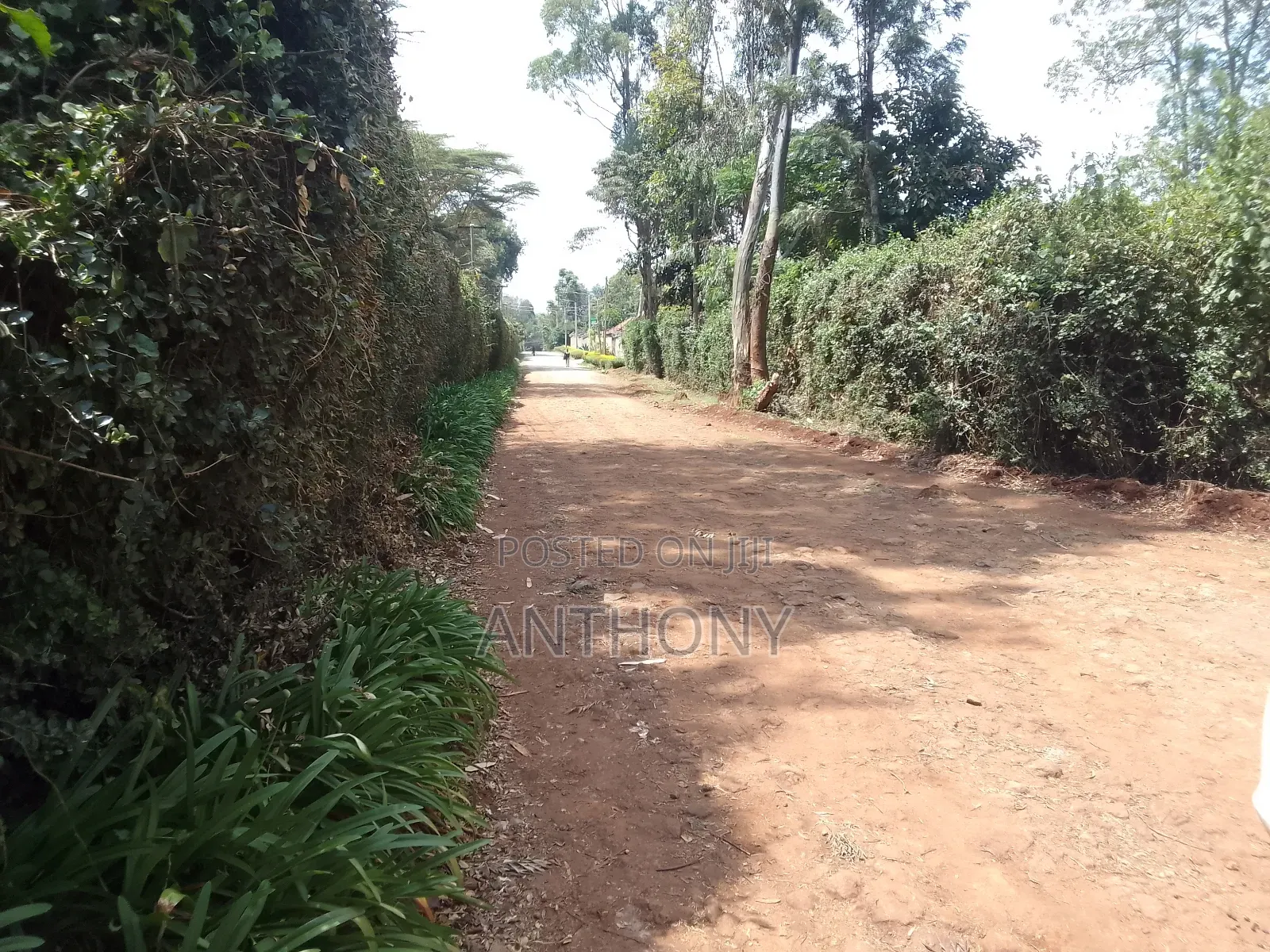 Karen - Dagoretti Rd - 10 Acres (5+5)