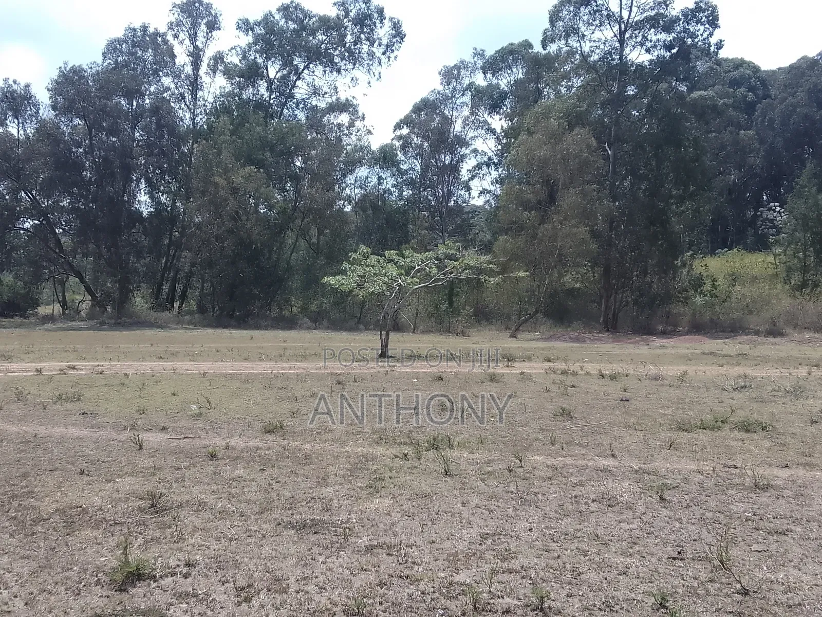 Karen - Dagoretti Rd - 10 Acres (5+5)