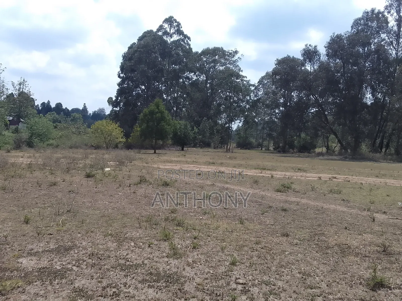 Karen - Dagoretti Rd - 10 Acres (5+5)