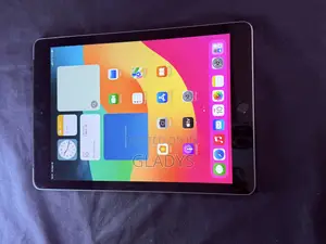 Apple iPad Air 2 64 GB Gray