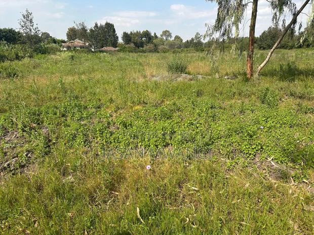 Kamakis Plot 50x100 for Sale - main view