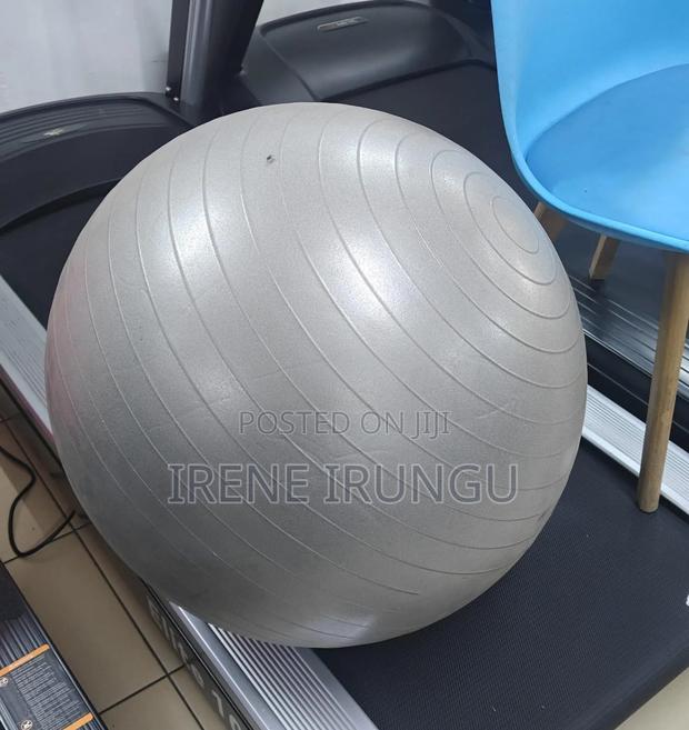 Stable Gym Exercise Balls - main view