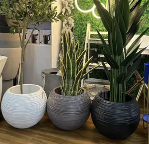 Premium Minimalist Design Flower Planters