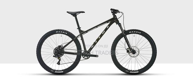 Size 29 Mountain Bike