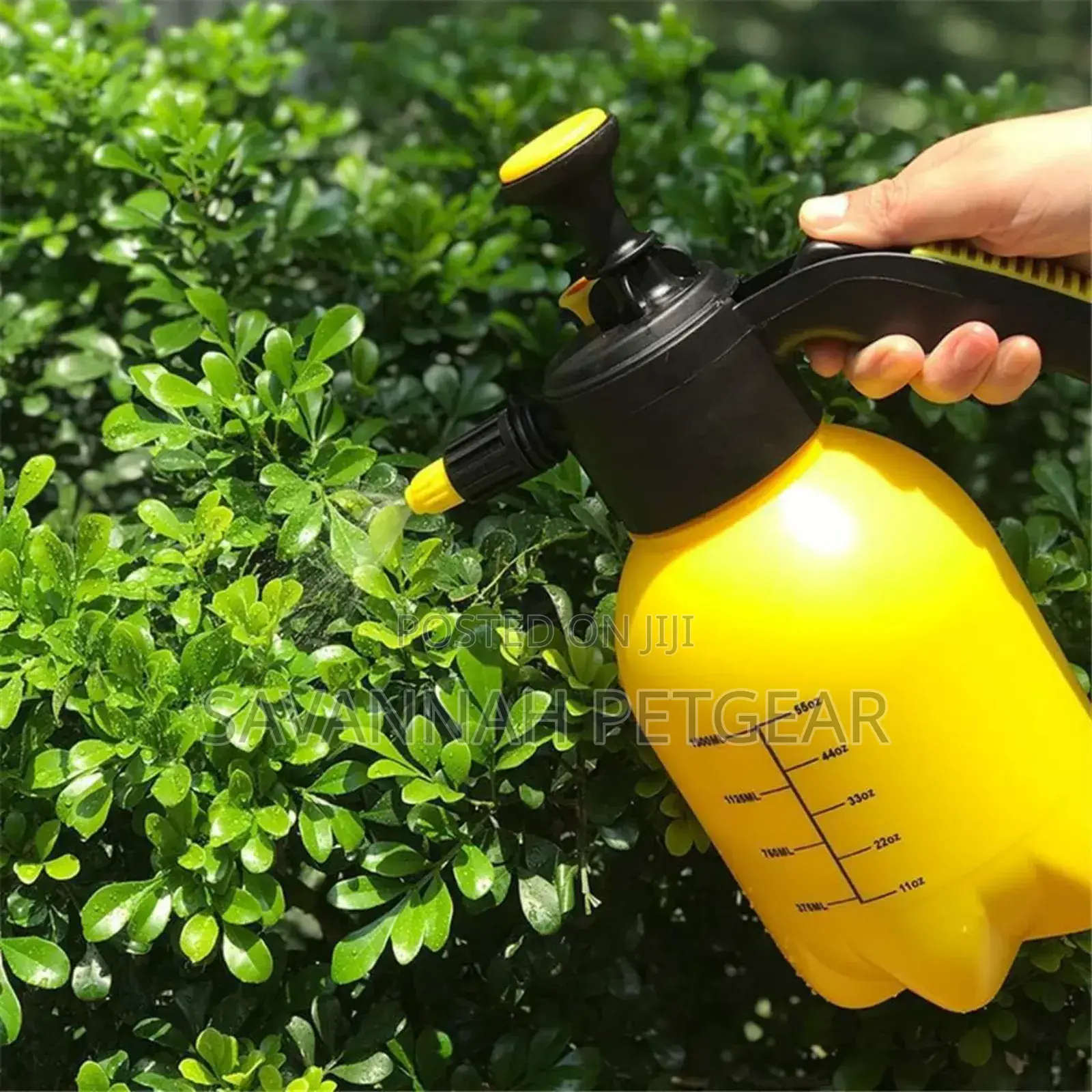 Portable Hand Compress Pump Pressure Garden Sprayer 2 Litre)