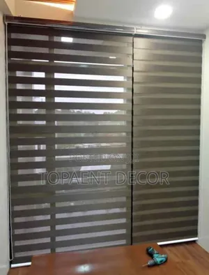 Horizontal Zebra Window  Blinds That Means Business