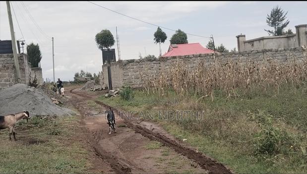 Two Prime 50x100 Plots For Sale