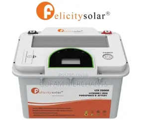 Felicity 12v 200ah 2.56kwh Lithium Solar Battery (Fla 12200)