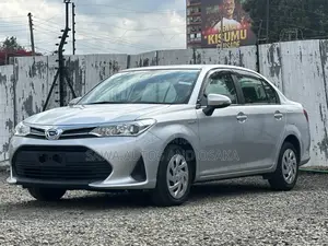 Toyota Axio 2019 Silver