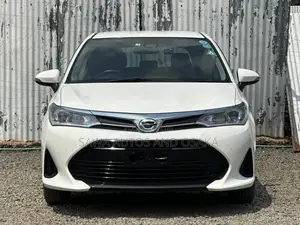 Toyota Corolla Fielder 2019 White