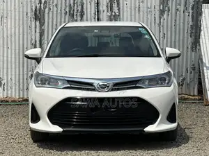 Toyota Corolla Fielder 2019 White