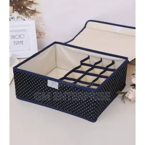 *Foldable 13 Grid Under Garment Organizer