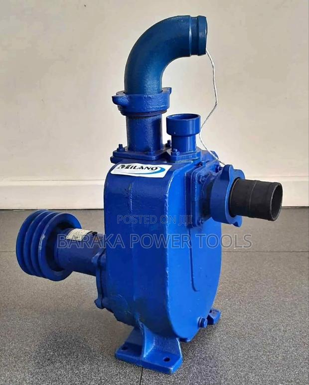 65m Bare Pump