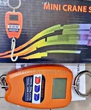 Crane Weighing Scale 200kg