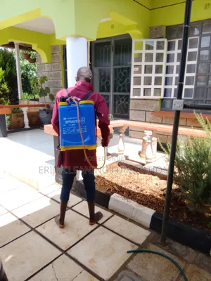 Pocket Friendly Fumigation Any Day