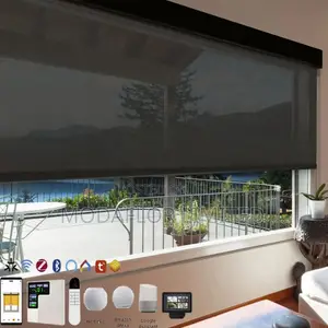 Sunscreen Roller Blinds – Perfect for Homes With Large Windows