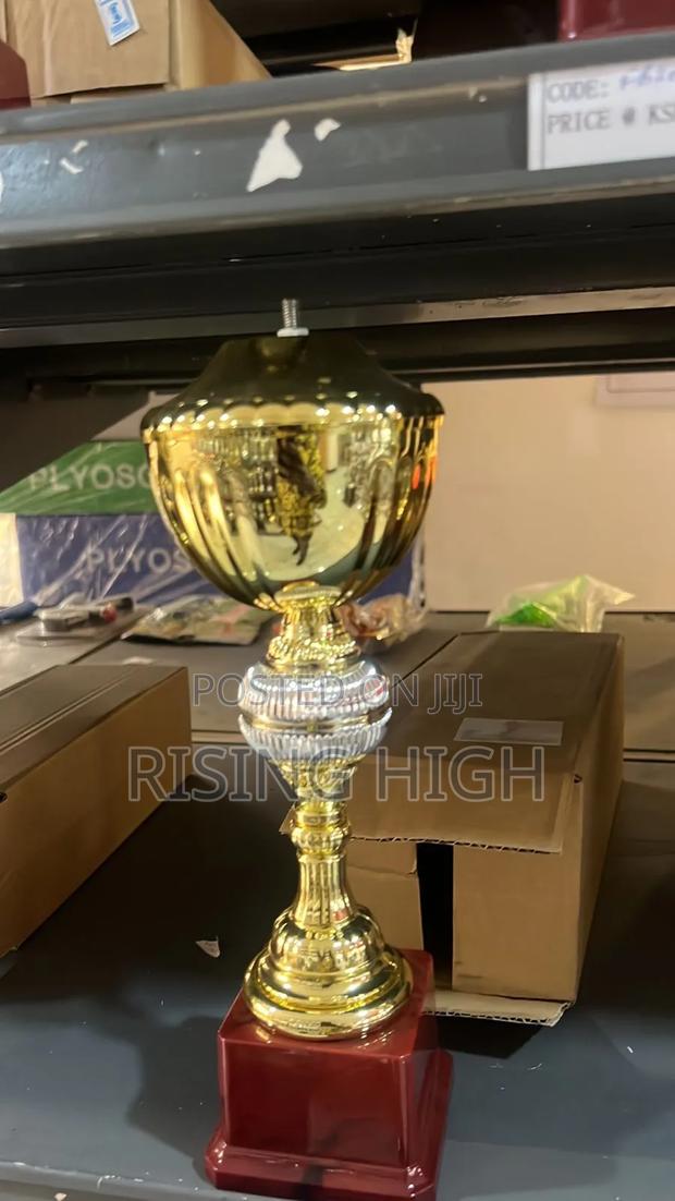 Affordable Trophy Awards – Fast Delivery - main view