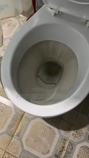 Cleaning Services