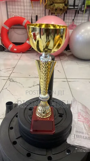  Elegant Gold Finish Award Trophies
