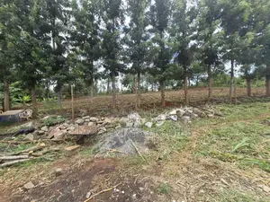 0.75 Acres of Land for Sale in Runda