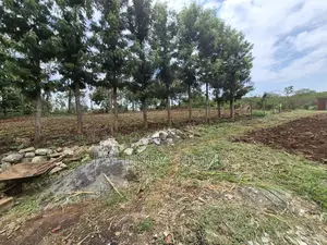 0.75 Acres of Land for Sale in Runda